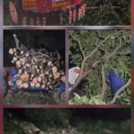 हरेला पर्व पर सौडा सरोली में हरियाली का संकल्प, पत्रकार यूनियन ‘मीडियाराइट’ के नेतृत्व में पौधारोपण अभियान