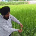 हरिद्वार में गंगा को जीवित दर्जा दिलाने की तैयारी बैठक — मीडिया की चुप्पी पर उठे सवाल, वरिष्ठ महामंडलेश्वर प्रबोधानंद गिरी ने दिया समर्थन