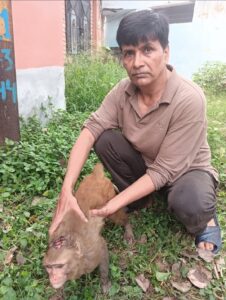 हरिद्वार प्रशासन की बड़ी लापरवाही — करोड़ों की योजनाओं के बावजूद जानवरों की हो रही मौतें। घायल बंदर की पाँच घंटे की तड़प ने बेनकाब कर दिया पूरा सिस्टम। 272