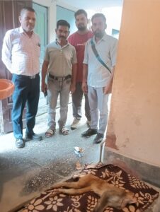 हरिद्वार प्रशासन की बड़ी लापरवाही — करोड़ों की योजनाओं के बावजूद जानवरों की हो रही मौतें। घायल बंदर की पाँच घंटे की तड़प ने बेनकाब कर दिया पूरा सिस्टम। 271