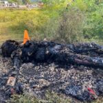 गंगा संरक्षण की लड़ाई तेज़ — हाईकोर्ट की सख़्ती के बाद मातृ सदन और संत समाज का स्वर हुआ एक